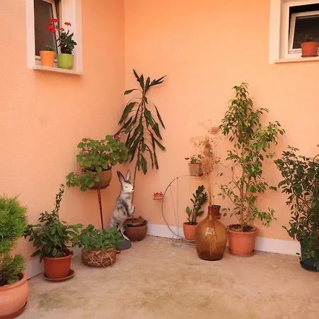 Apartament Ivan Dolac 8734c Jelsa (Hvar)